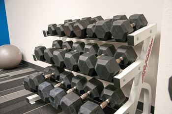 Free weights